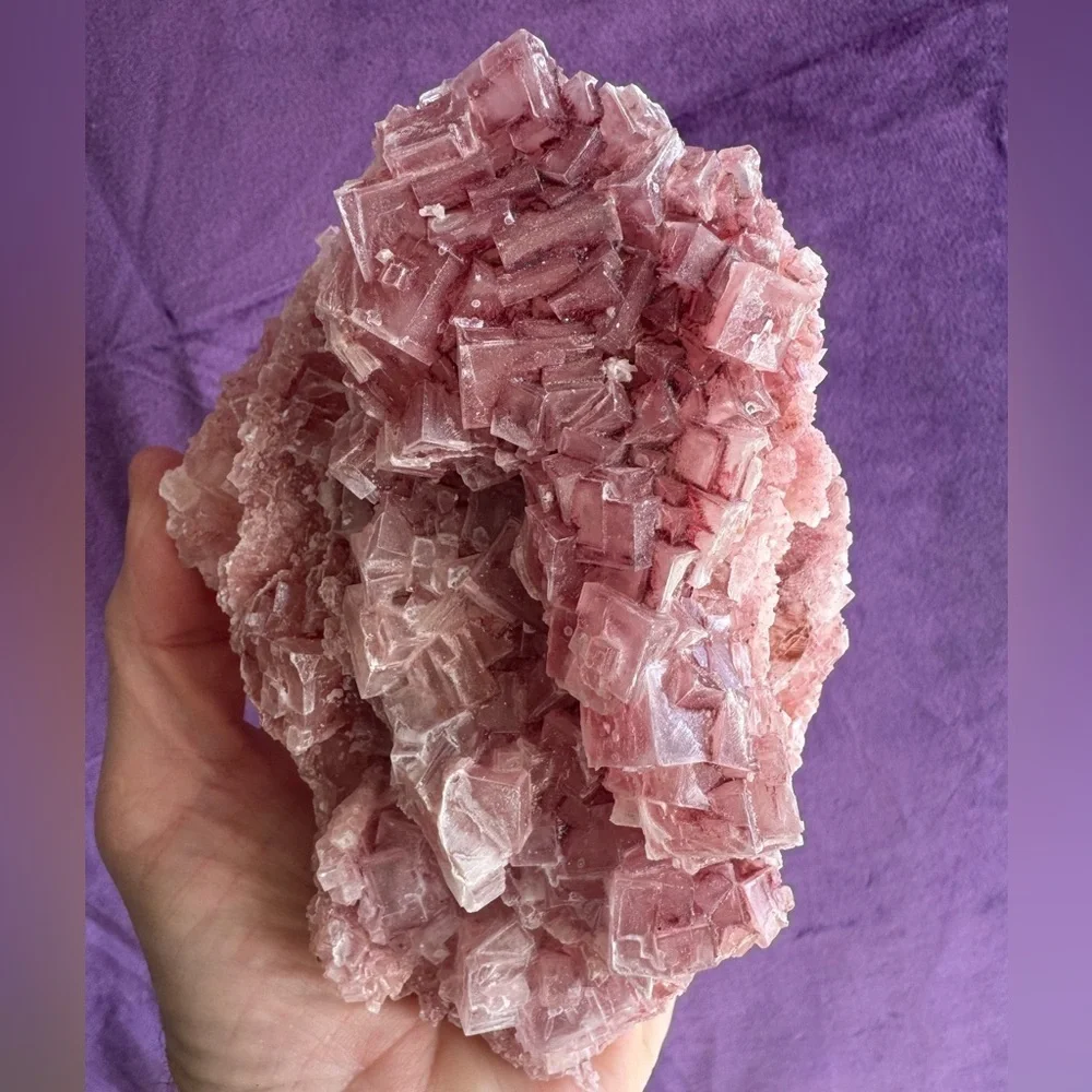 Pink Halite (Searles Lake, California)